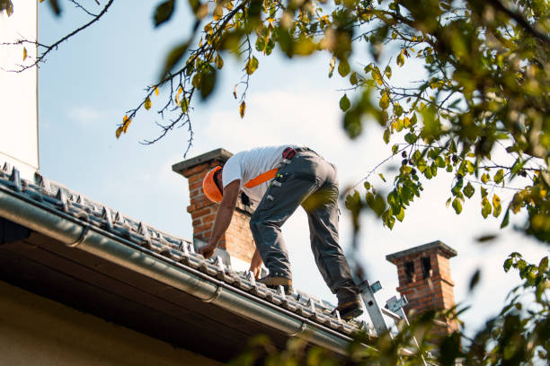 Best Metal Roofing Contractor  in Benjamin, UT